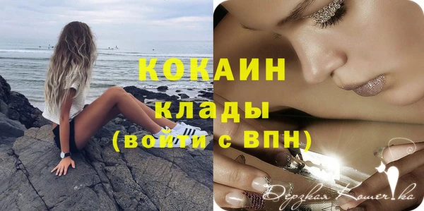 mdpv Ельня