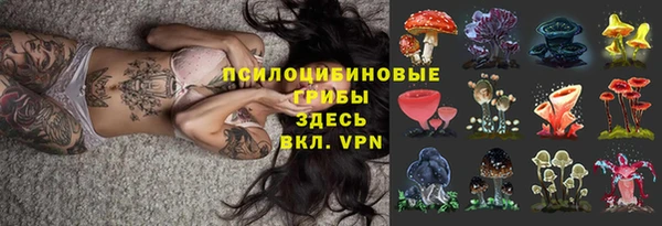 PSILOCYBIN Заволжье
