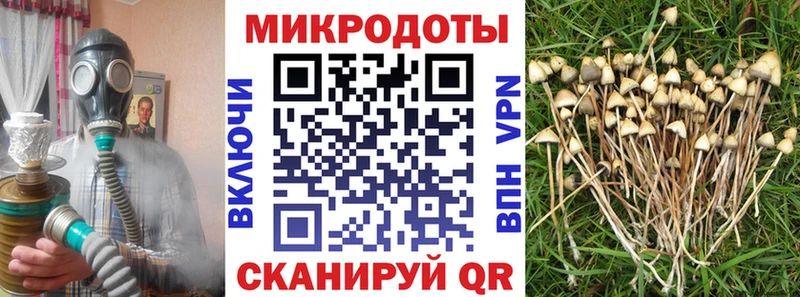 Галлюциногенные грибы Magic Shrooms Сибай